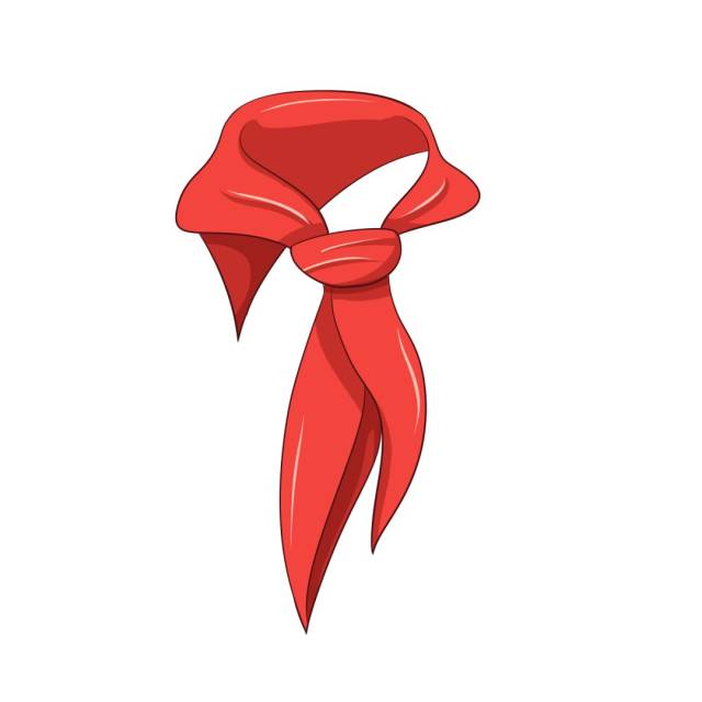 红领巾之声,书写奋斗梦 | 团小南带你看南岸区少先队辅导员风采