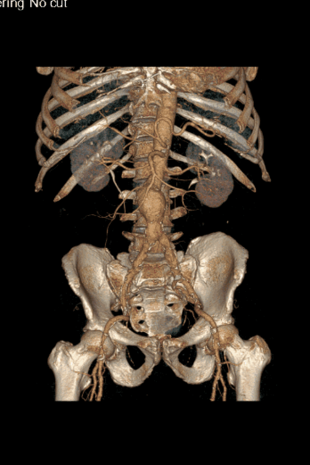 348_521竖版 竖屏gif 动态图 动图