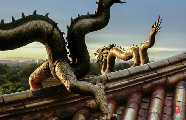 雨花阁殿顶的四条屋脊上各立一条铜鎏金行龙.