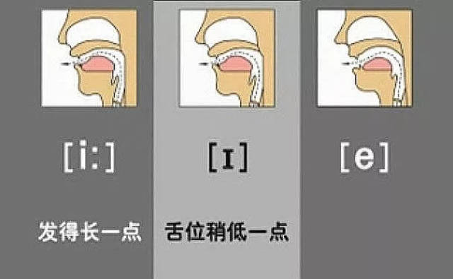 成人英语培训行业的最新动态