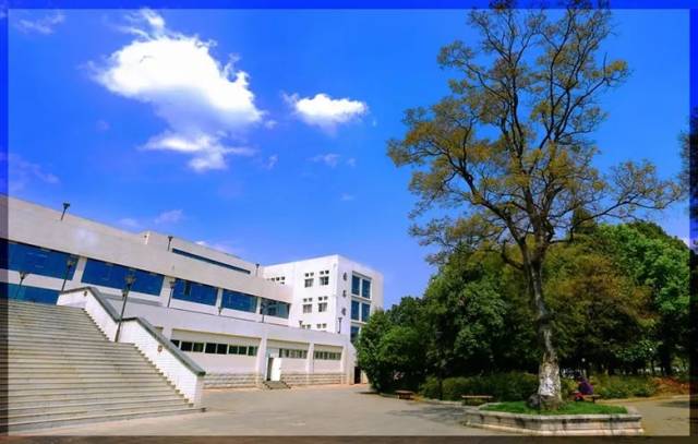 林业人才摇篮西南林,建校60年,服务西部,辐射东南亚
