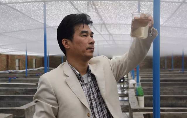 陈国良:明年苗价还会降,目标销量300亿尾