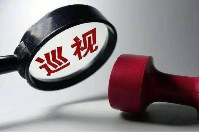 按照市委巡视工作领导小组安排部署,决定派出第四交叉巡察组,对重庆市