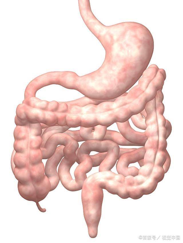 经常便秘,排泄难,早晨起床喝几口,快速疏通,拉的轻松便秘消失