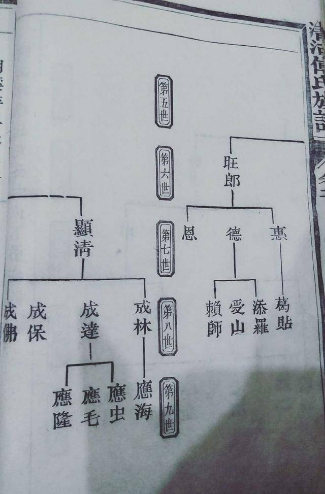 傅氏家谱辈分排字图图片