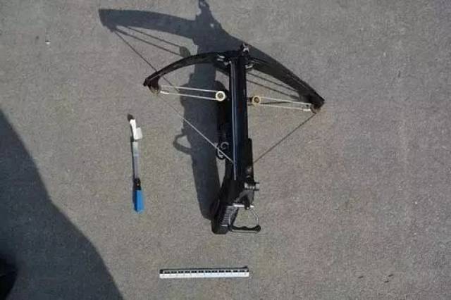 可恶!用弓弩毒针偷狗 被抓后还威胁要射保安