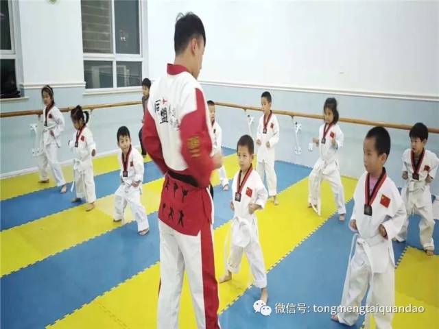 探索小小武术家的力量之源——幼儿武术培训新动态