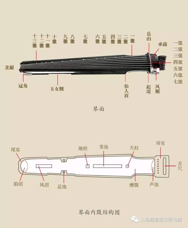 古琴龙池图片