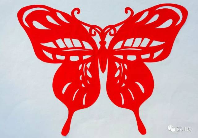 【投票】川科刻纸大赛入围作品出炉,快来pick你的最爱