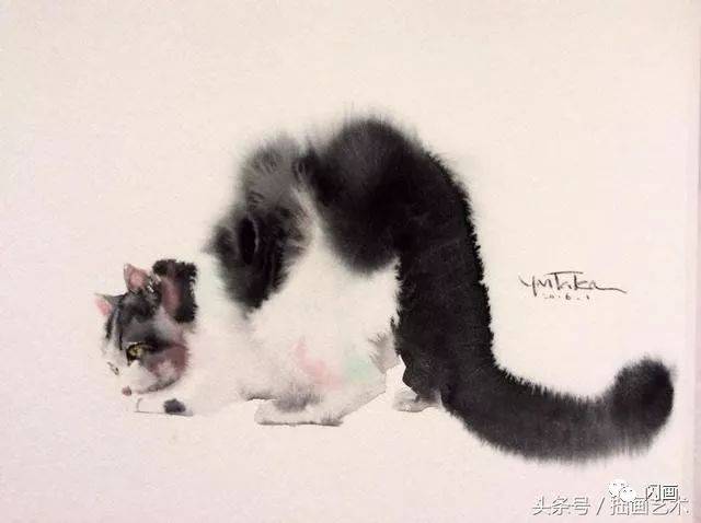 38只猫，告诉你最有感觉的水彩湿画技法！_搜狐网