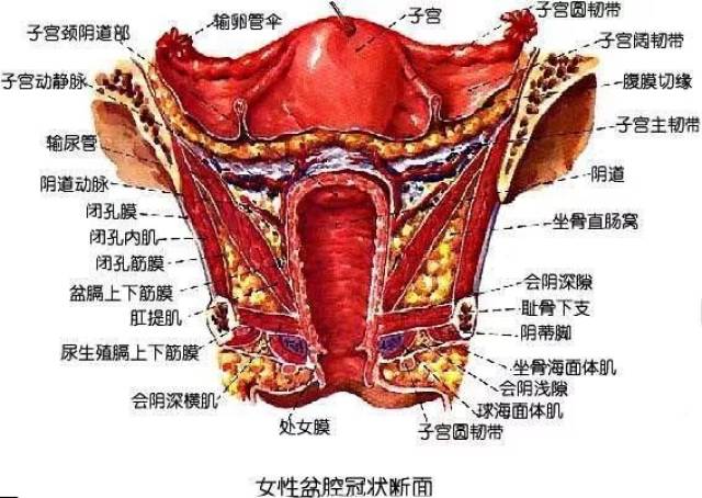 唯美荟丨浓情冬日,体验幸福,滋养你的女性能量!