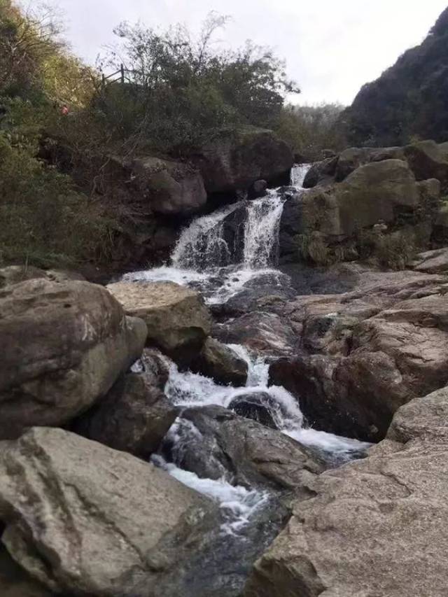 大家在風景秀麗的栲栳山健身步道