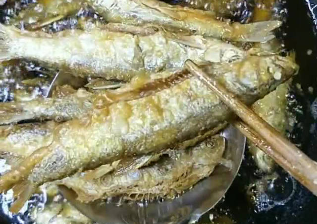 炸小河鱼,1勺淀粉,1勺面粉,1枚鸡蛋,外酥里香酒鬼最喜欢!_手机搜狐网