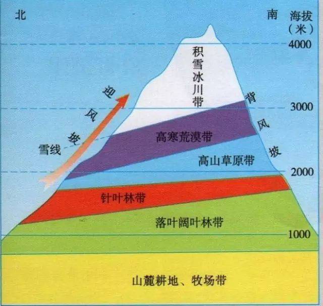 信风的迎风坡,降水条件优于北坡,相同自然带的分布高度南坡高于北坡