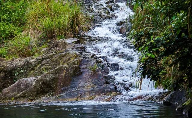白峰虾蜡龙潭森林游步道全长6000米,起点位于虾蜡长水流水库,终点可以