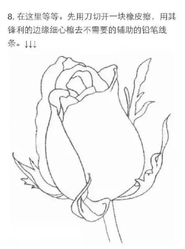 超详细素描教程,教你零基础画一朵玫瑰