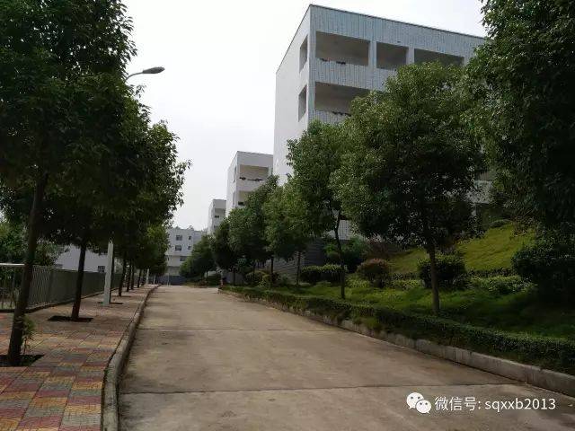 邵阳县石齐学校小学部欢迎您!