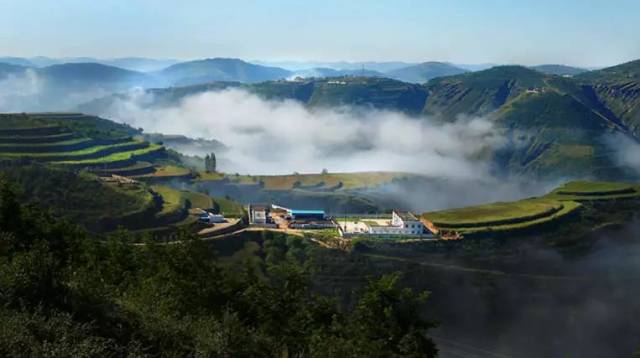 《延安市退耕还林成果保护条例》将于2018年12月1日起正式实施