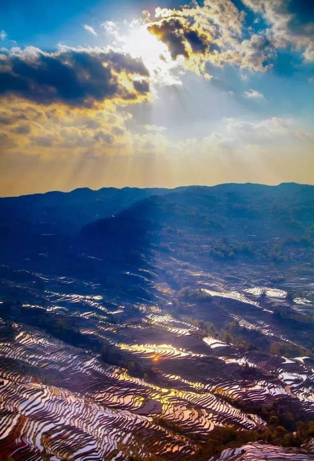 元陽梯田 || 時光天梯 · 尋找冬日雲南的醉美曲線 撫仙湖浪漫自駕