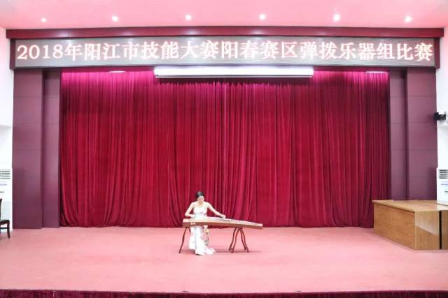 弹拨乐器演奏比赛