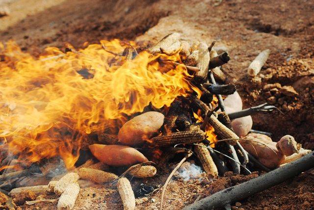 还在吃地摊烤红薯?薯阡陌告诉你哪里有干净卫生高大上的烤红薯