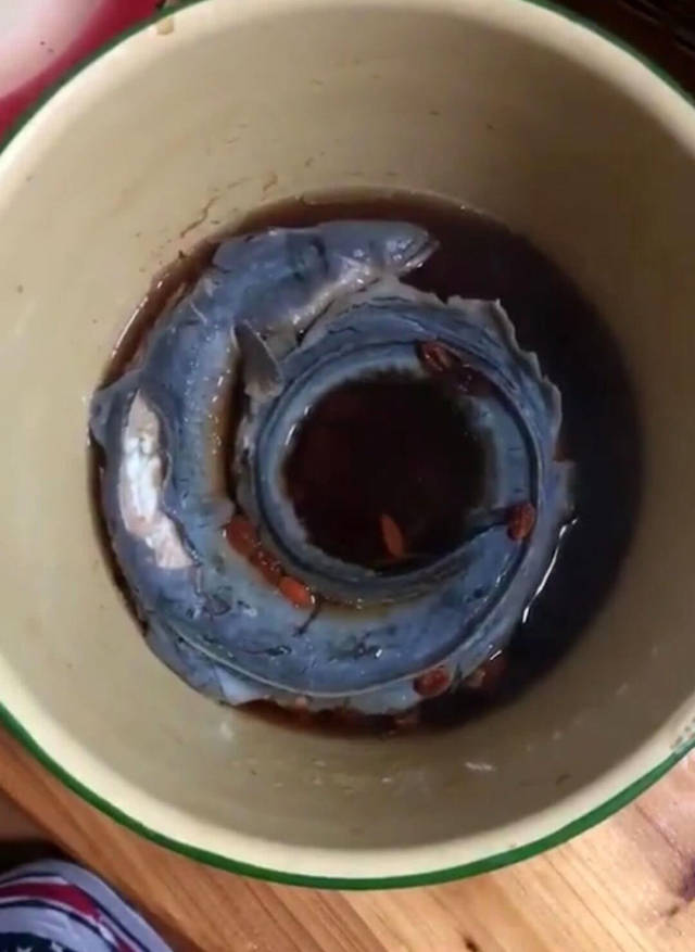 福州有一种"溪滑"鱼,因为营养价值极高,被称为水中人参