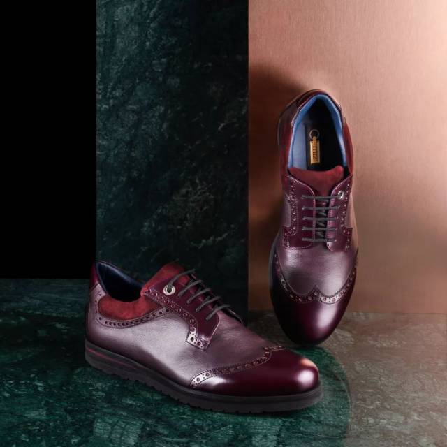 zilli | 一路前行,感恩相伴