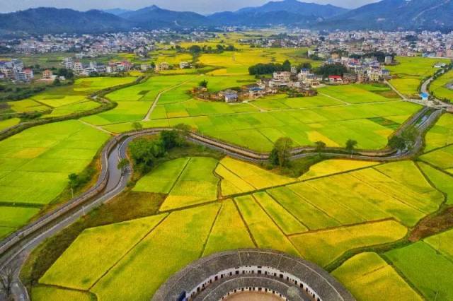 它早已渗入了我心深处 我的文字 才有了千家村淳朴的味道 温暖的老家