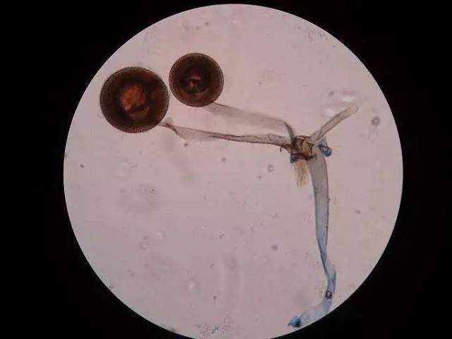 住酒店,我们担心的除了"杯子",还有什么?_手机搜狐网