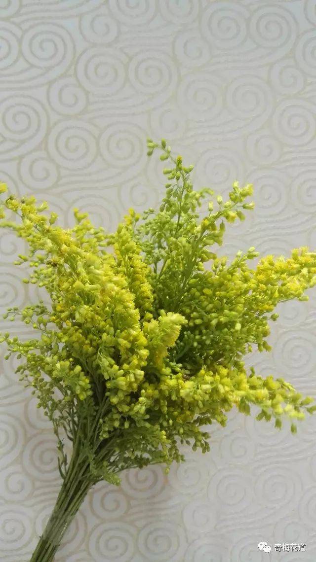 可作基盘叶 以上都是我们中式插花中常用的一些作"三大主枝"的花材