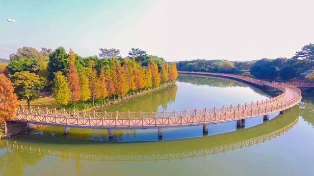 下面,松湖妹為大家重點推薦 位於生態園區域的 東莞國家城市溼地公園