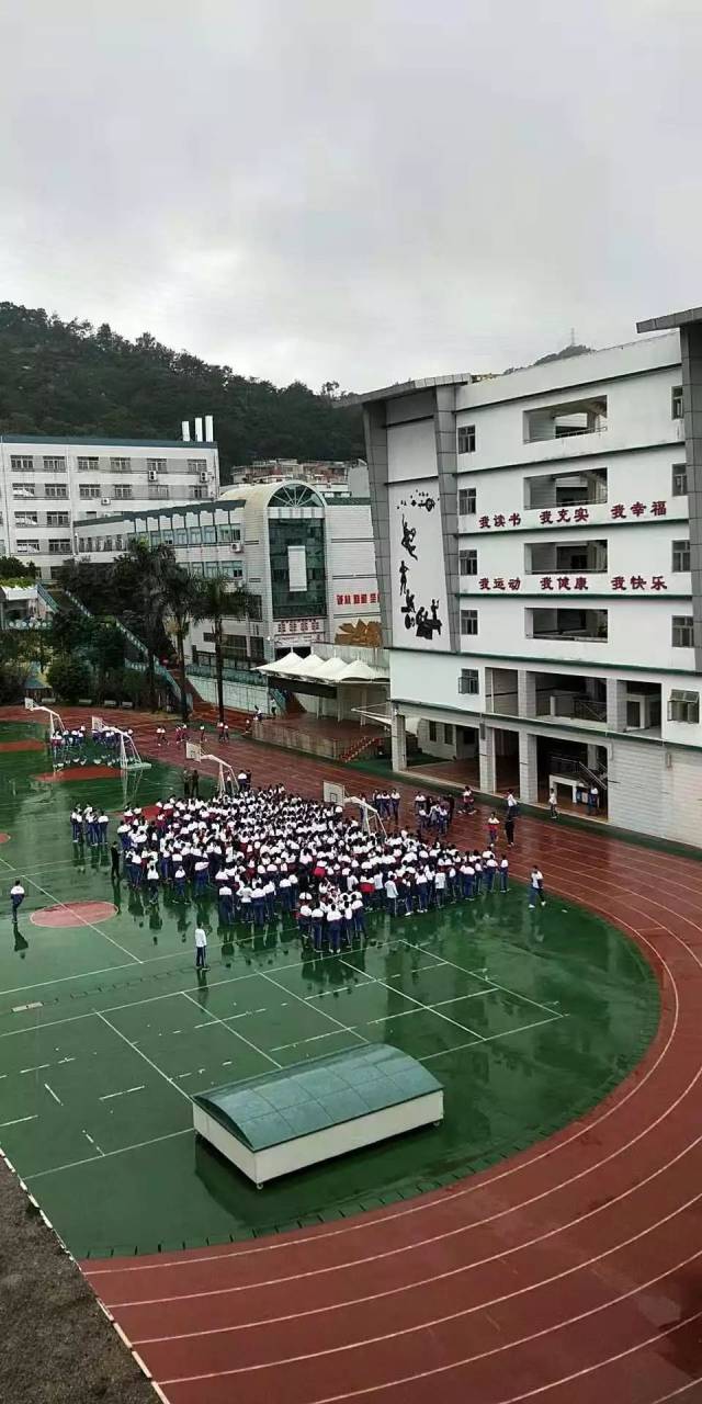 厦门市金鸡亭中学图片