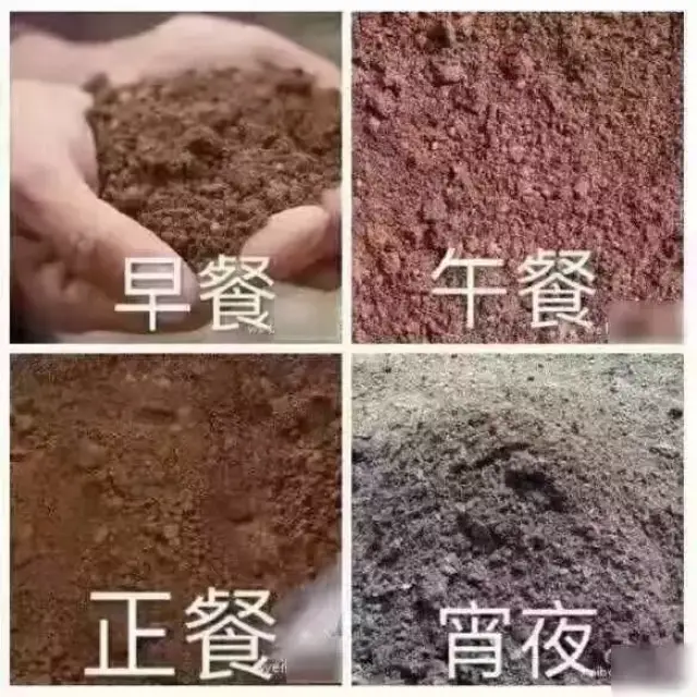 魔性吃土大法