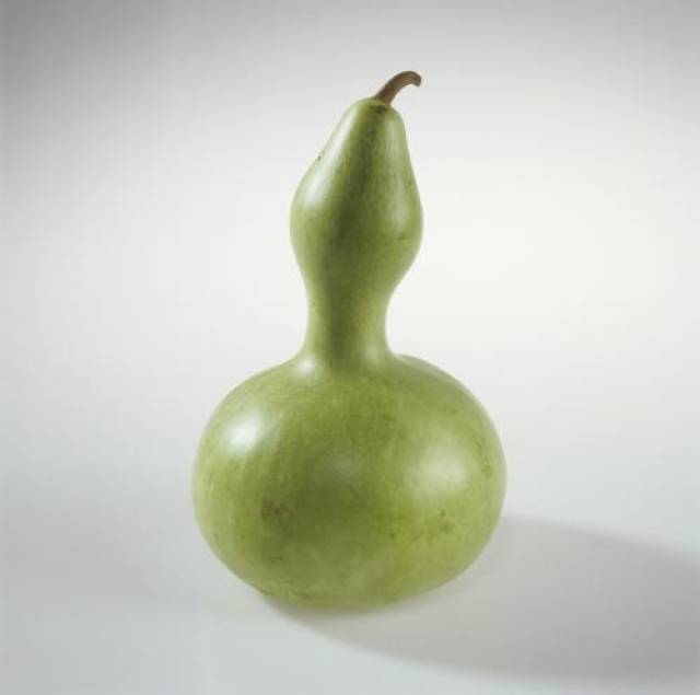 掌天瓶在韩立手中,或福或祸皆由此而起.