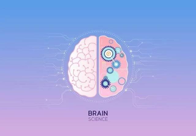 考试脑科学插图图片