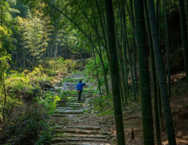 古越寻踪,探访余姚虹岭古道,收获不一样的风景