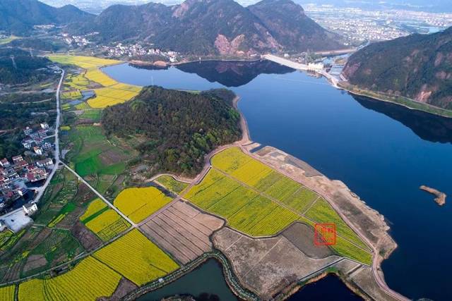 同山布谷村 枫桥杜黄新村