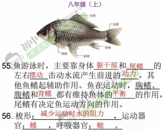 生物老師精心整理: 初中生物必考課本識圖題彙總!對考試太有用