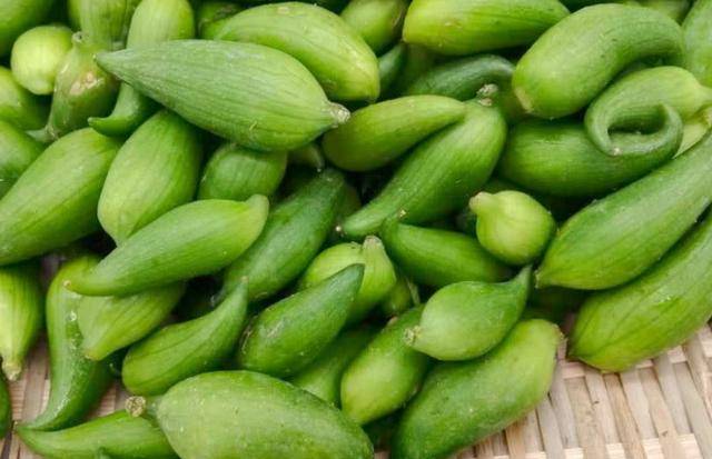 这种瓜被人们称为辣椒瓜,不过它可一点都不辣,你有没有吃过呢?