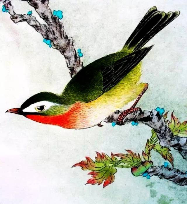 你知道那些又细又软的羽毛是怎么画出来的吗?