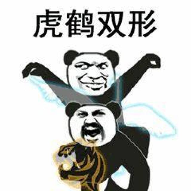 熊猫表情包头像 武功图片