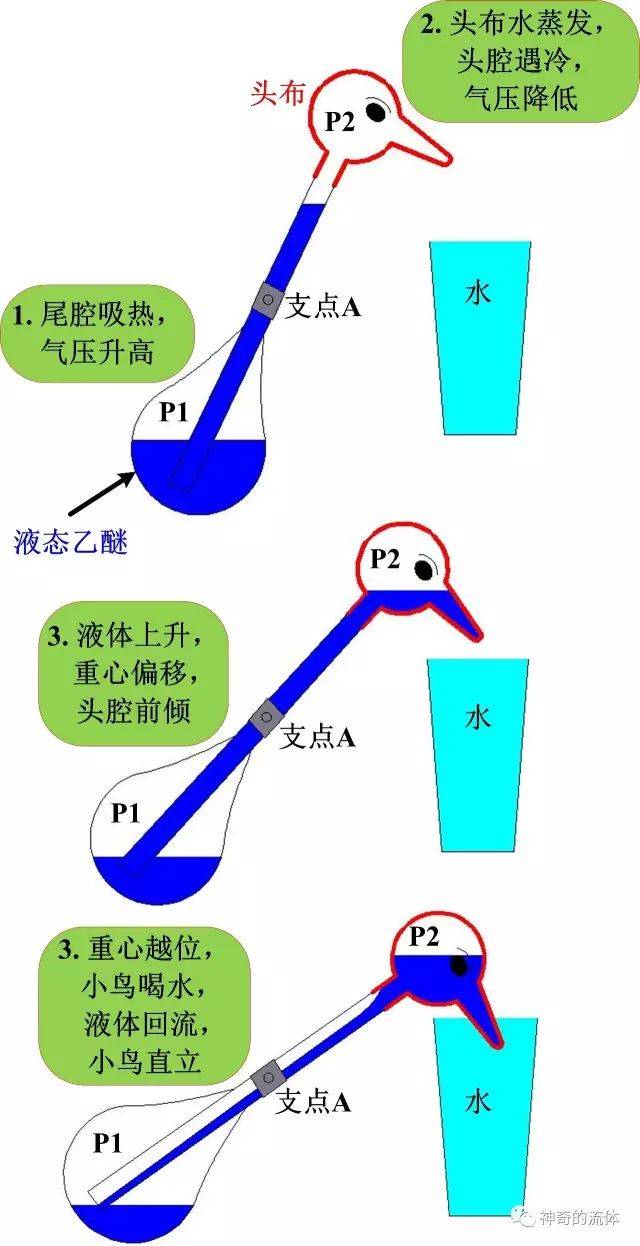 【物理實驗】震驚!讓愛因斯坦都認為