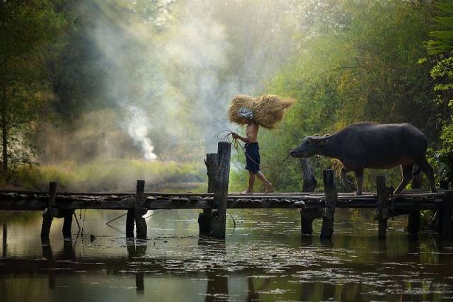 写在风景里的满满禅意!这是一个具有摄影魔法的国度