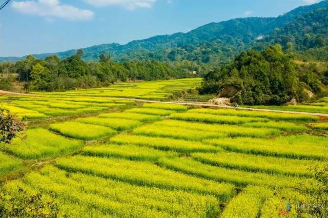 德宏州风景,德宏州,德宏州芒市_大山谷图库