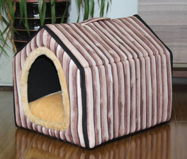 养宠:幼猫狸花猫耳朵有灰色脏东西,怎么给狸花