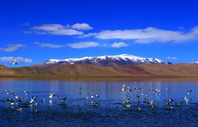 西藏第一大湖,不是纳木措,而是一座"魔鬼湖",当地人避之不及