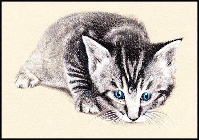 90后用钢笔画画如照片以假乱真,网友喊话冷军后继有人了