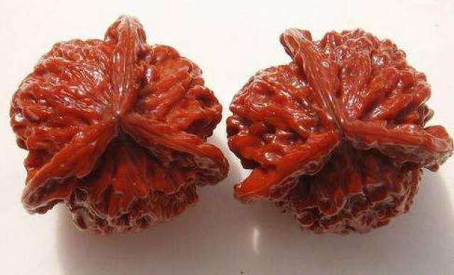 文玩核桃中身份的象征，三棱大奔_搜狐网