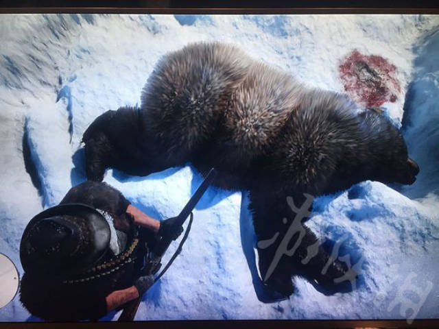 《荒野大镖客2》雪山随机事件怎么获得完美熊皮?完美熊皮获取攻略