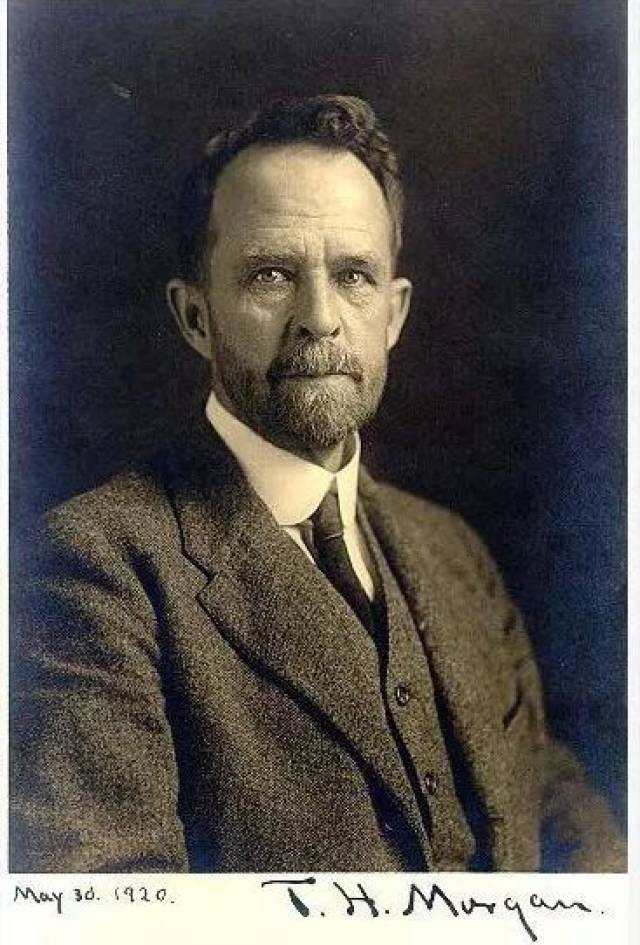 诺奖得主摩尔根84年前发表演说 | 通过育种手段纯化和更新人种,这种